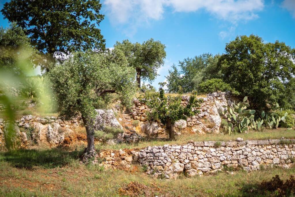 Trullo Caelum Villa อัลเบโรเบลโล ภายนอก รูปภาพ