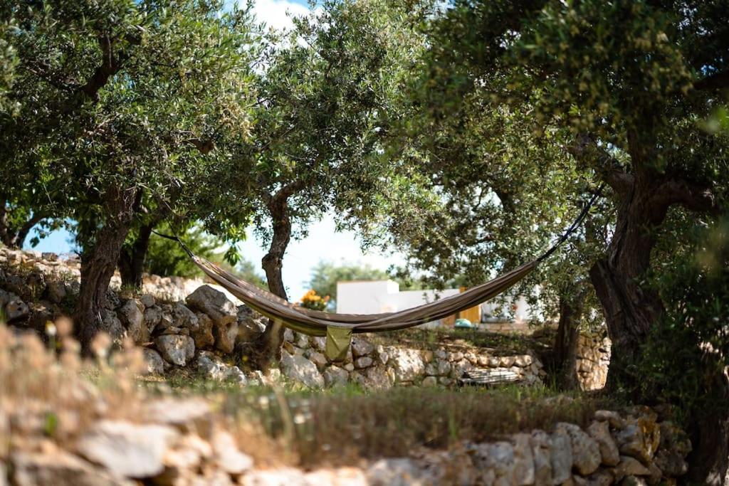 Trullo Caelum Villa อัลเบโรเบลโล ภายนอก รูปภาพ